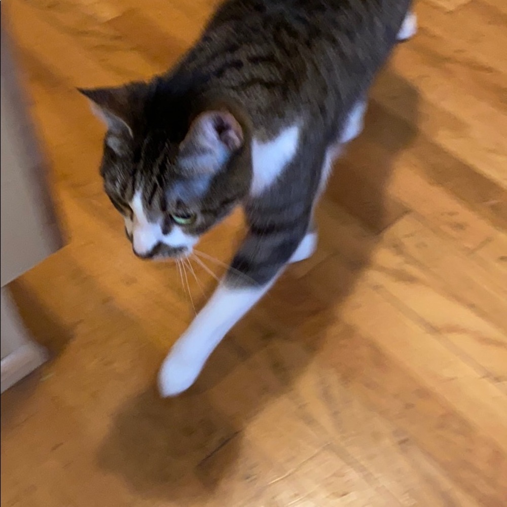 Meet your Posher, Ryan